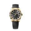ROLEX SKY DWELLER OYSTERFLEX (GOLD BLACK)